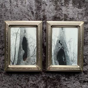 Set of two tree photos by @ArtofChantal
